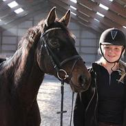 Anden særlig race Schwaba - part