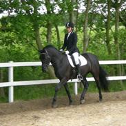 Anden særlig race Medumgaards Malle