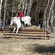 Anden særlig race Talisman