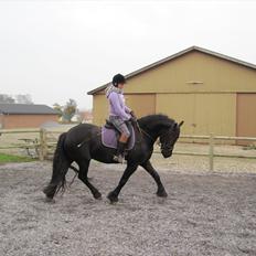 Frieser Wham Toustrup *SOLGT*