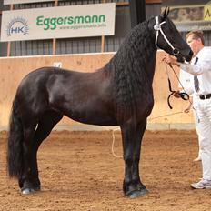 Frieser Texas Toustrup