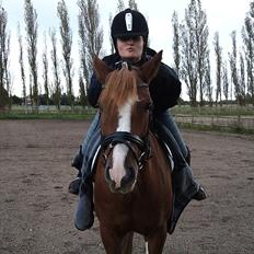 Anden særlig race Thunder Boy