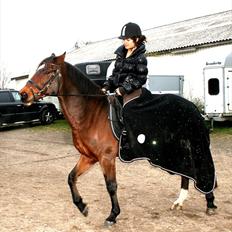 Anden særlig race Capper, danmarks bedste dreng