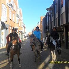 Anden særlig race Mulle