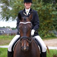 Anden særlig race Teddy