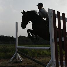 Traver Hannibal Vega