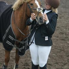 New Forest Wendy<3 (savnes  :'-( )
