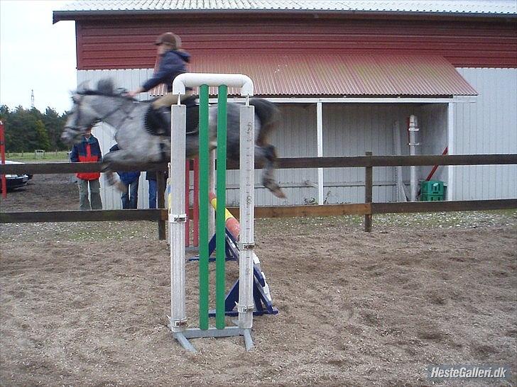 Anden særlig race Aziz sabah, mistet, savnet, elsket!  - for du for lækker, lækker lækker!
foto: Safia billede 13