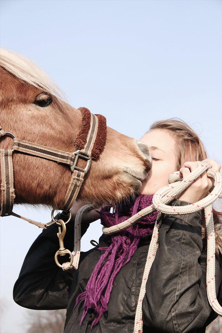 Islænder Diva [SOLGT] - Kyssetricket ;) billede 11