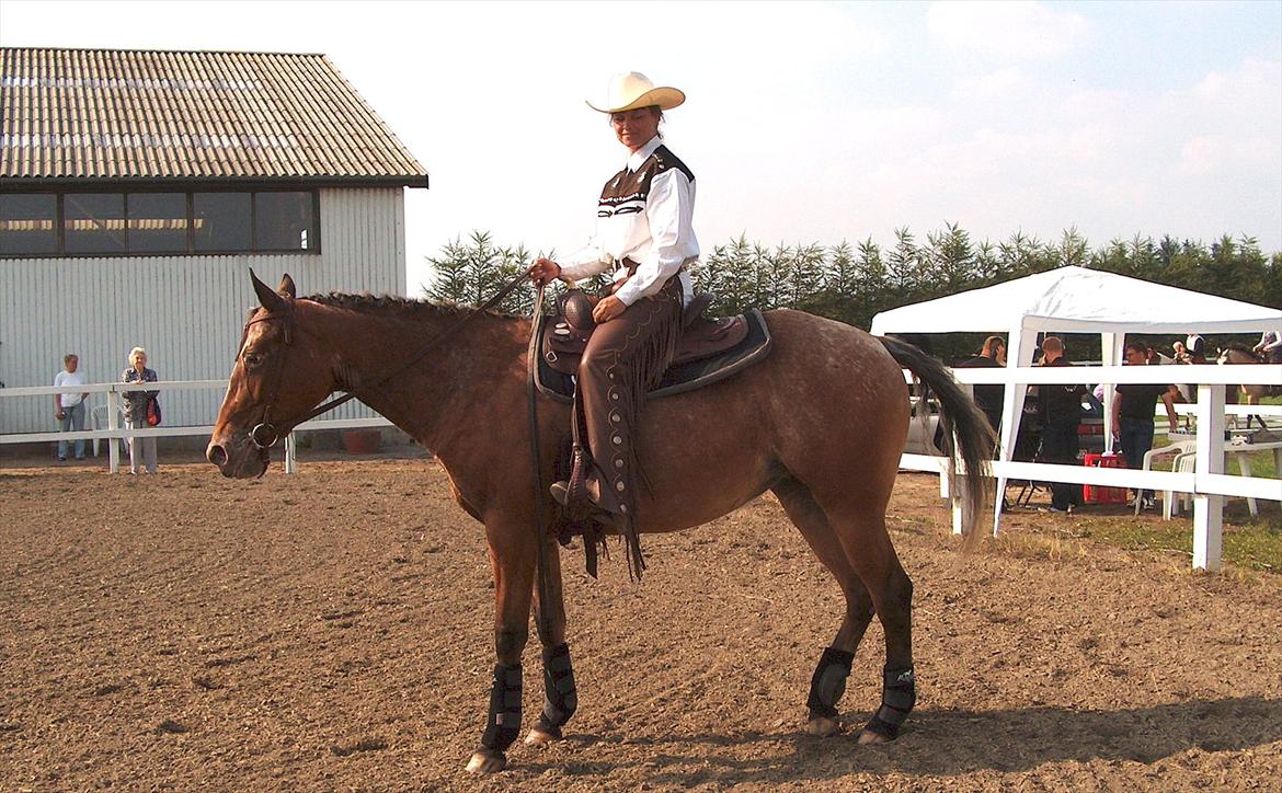 Appaloosa Eponas Brite Dream billede 6