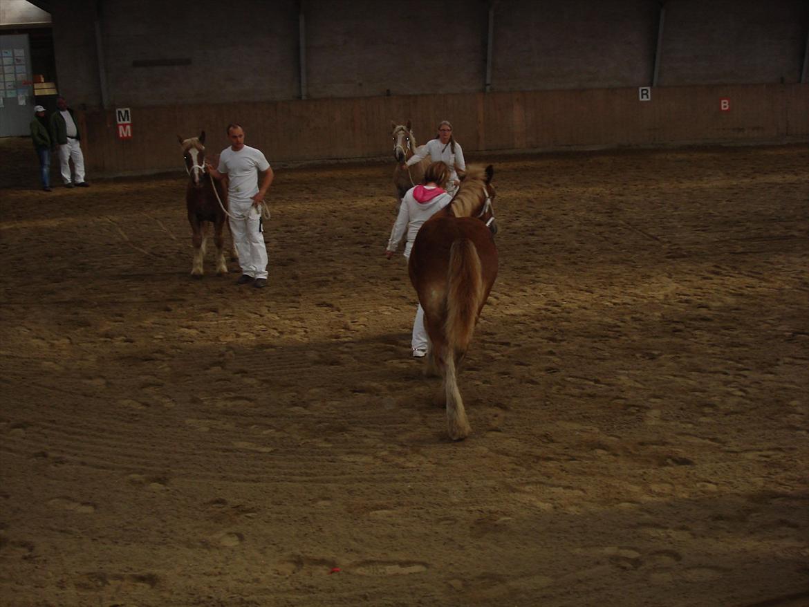 Jyde Ditte af veerst - revsø 2011 ditte gik 3 ud af 5 billede 13