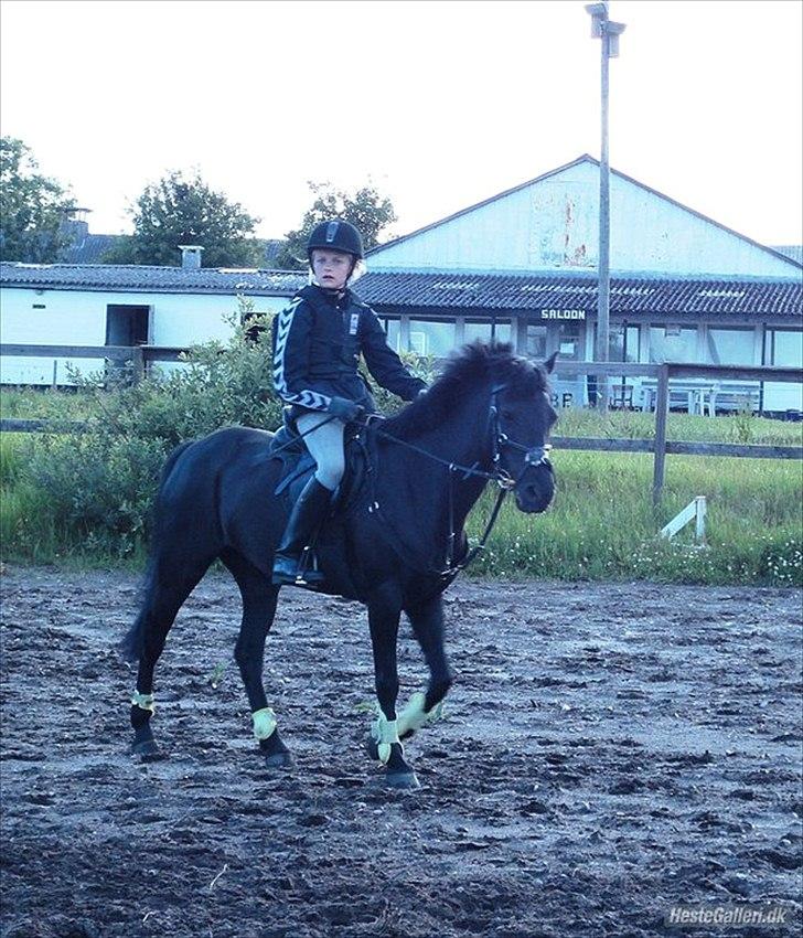 Anden særlig race zikka - Springundervisning ved den dejlige Mette<3  billede 11