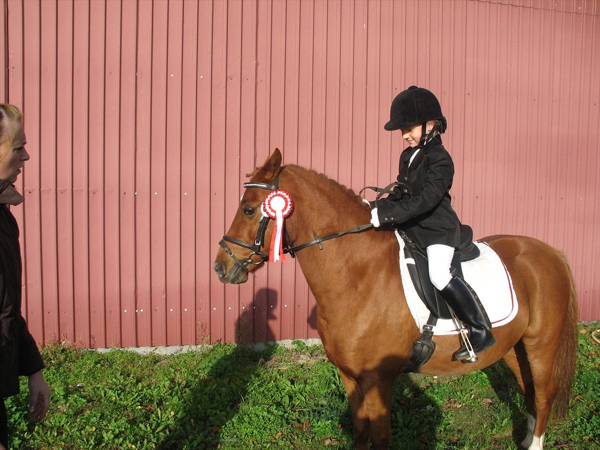 Anden særlig race magic star - tja der vandt vi vores første stævne billede 1