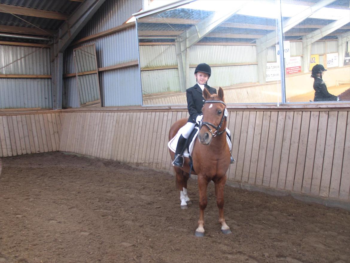 Anden særlig race magic star billede 2