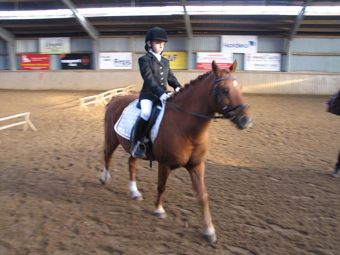 Anden særlig race magic star billede 3