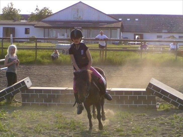 Shetlænder Molly - Mig og Molly der springer mur<3 billede 1