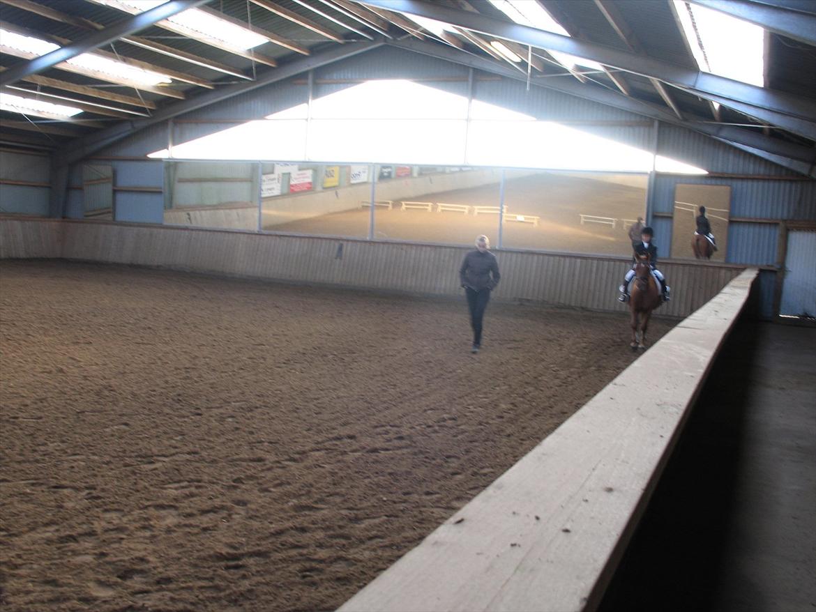 Anden særlig race magic star billede 5