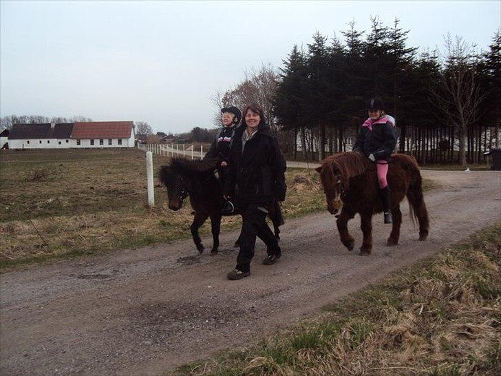 Shetlænder Molly - Mig der rider på den røde(Bella) og min lillesøster der rider på den mørke brune(Molly) og min mor der går ved siden af<3 billede 2