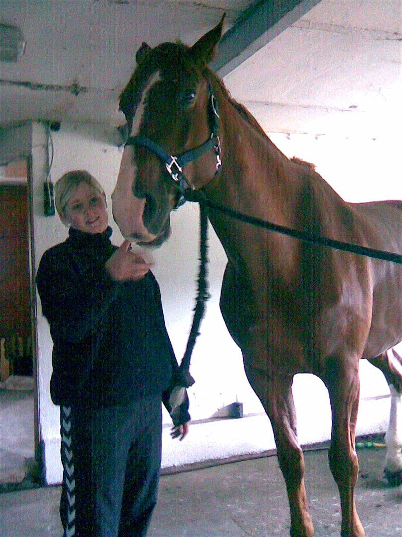 Oldenborg Clemenst Gucci *himmelhest* - Aller første dag sammen:) billede 12