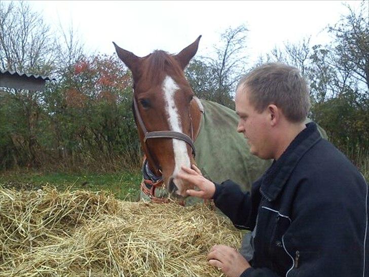 Oldenborg Clemenst Gucci *himmelhest* billede 17