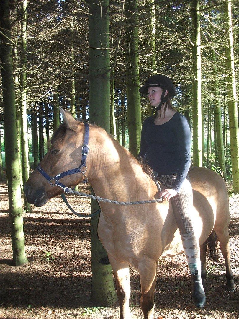 Anden særlig race lukas billede 15