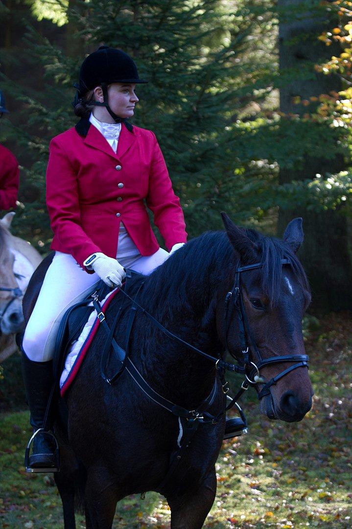 Anden særlig race Sola billede 19