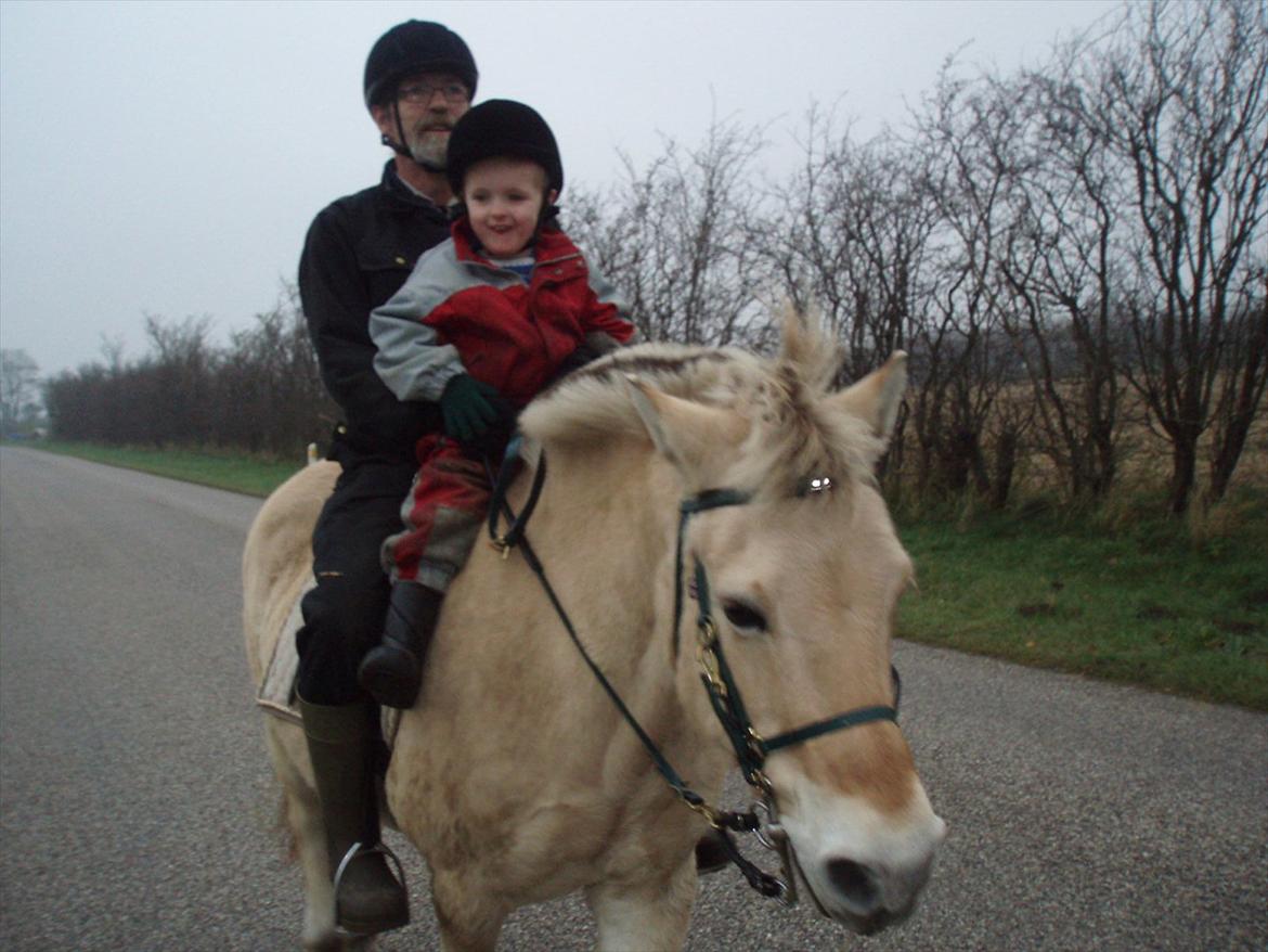 Fjordhest MUSSE ( Dejlig Pige) - Alsidig familie hest er Musse her er Harry og John på tur
November 2011 billede 20