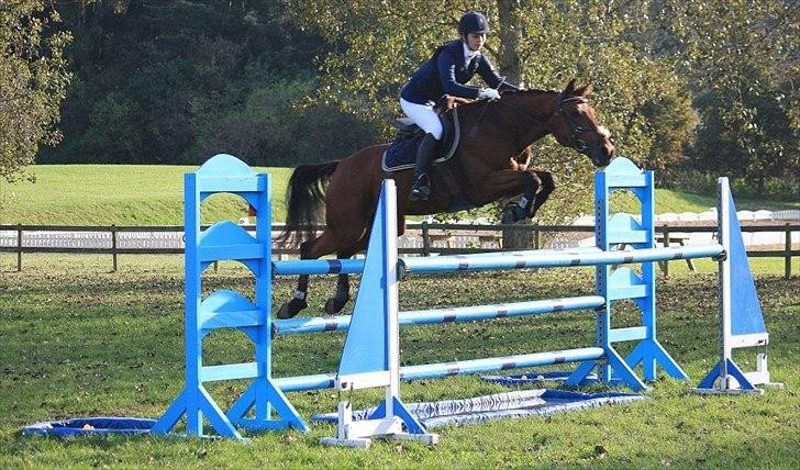 Anden særlig race Aktiv Junior (Lånehest) - LA** billede 15