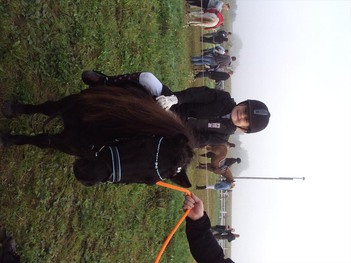 Anden særlig race Scoot billede 10