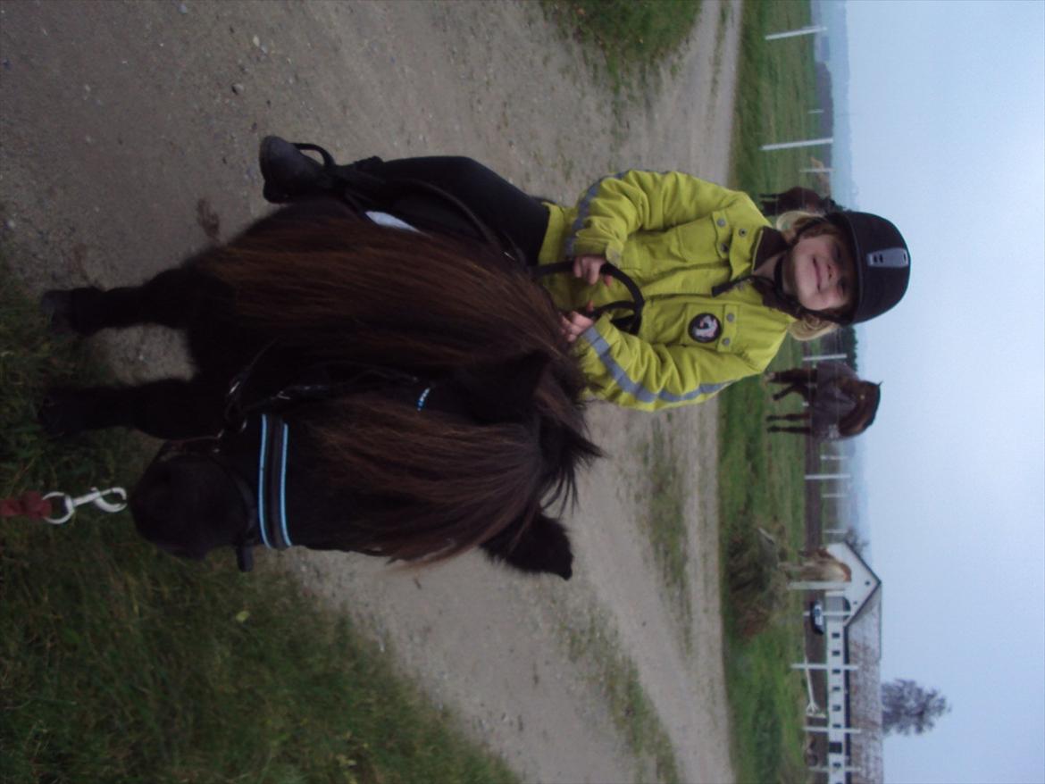 Anden særlig race Scoot billede 11