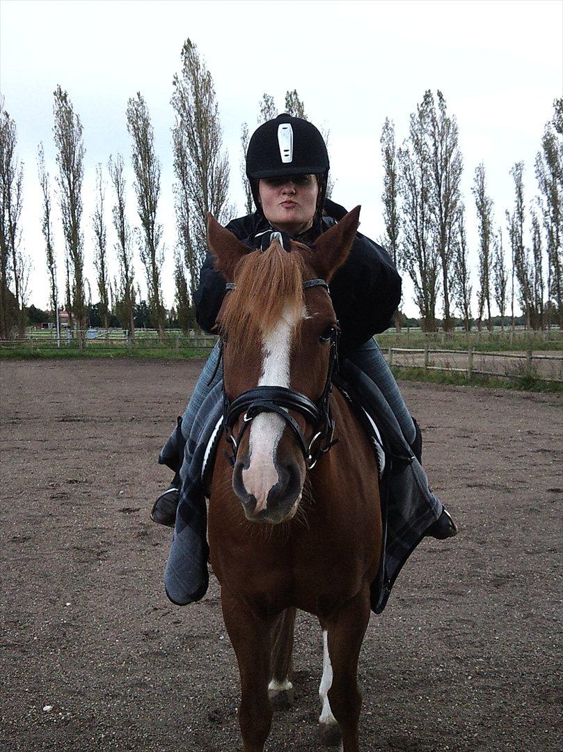 Anden særlig race Thunder Boy - Nuurh basse:-* billede 3