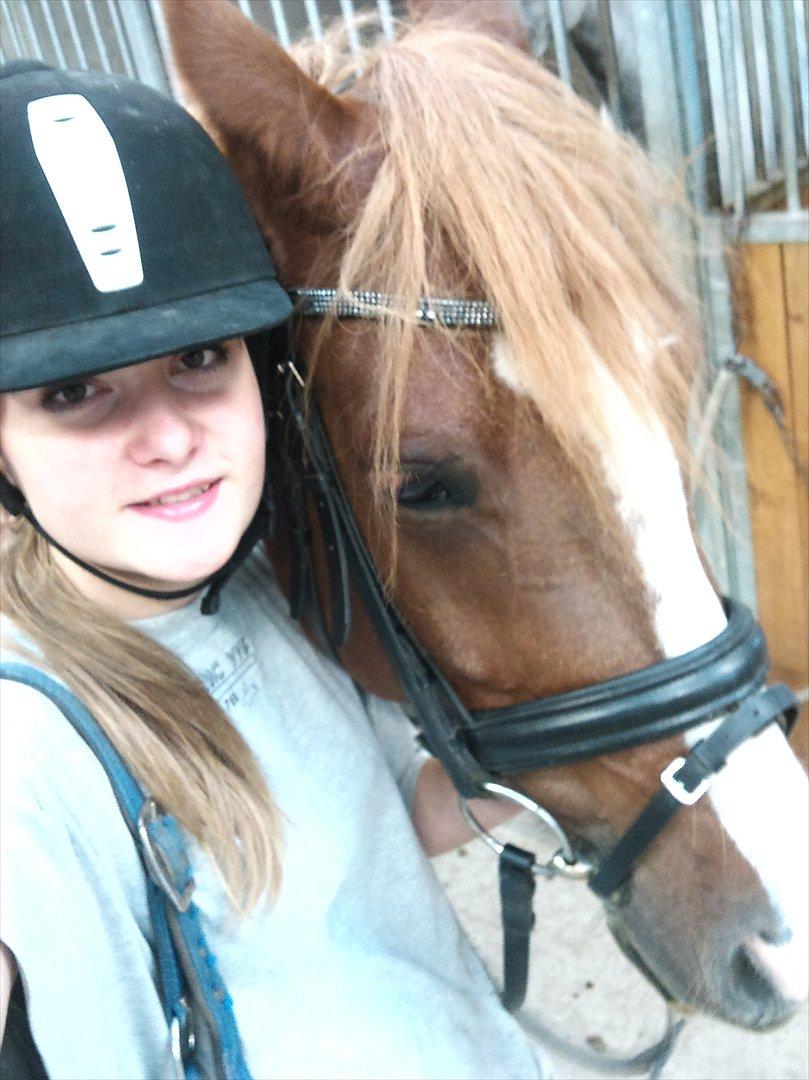 Anden særlig race Thunder Boy - Jeg ved godt jeg ser ufattelig dum ud..
Men Thunder er bare for nusser :o) billede 13