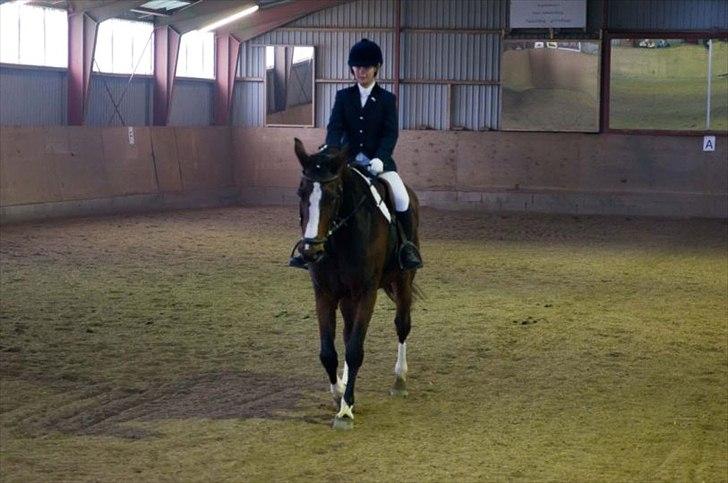 Dansk Varmblod Rafinesse Pilekær - Lige blevet færdige med programmet :) Vi fik en 3.plads :D billede 7