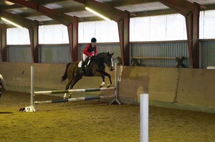 Dansk Varmblod Rafinesse Pilekær - LE 1.plads :D<3 og det er Rafinesse´s første stævne nogensinde og mit første heste stævne :) billede 8