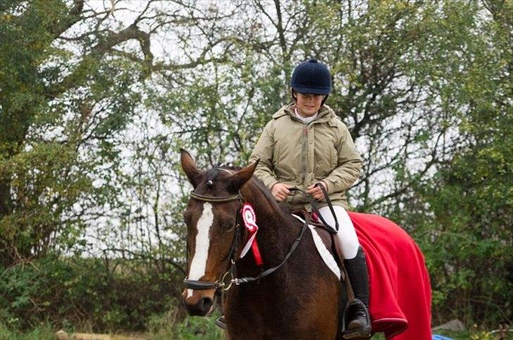 Dansk Varmblod Rafinesse Pilekær - 1.Plads LE til Rafinesse´s første stævne og mit første heste stævne :)<3 billede 9