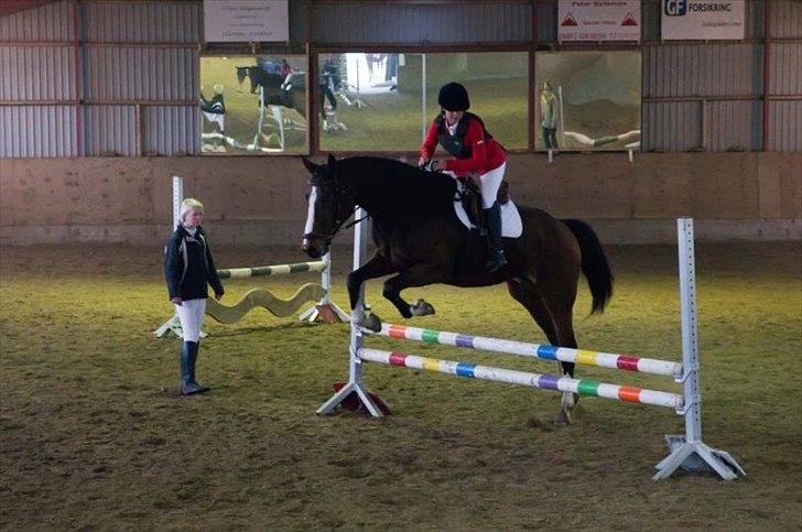 Dansk Varmblod Rafinesse Pilekær - LE 1.plads :D<3 og det er Rafinesse´s første stævne nogensinde og mit første heste stævne :) billede 10