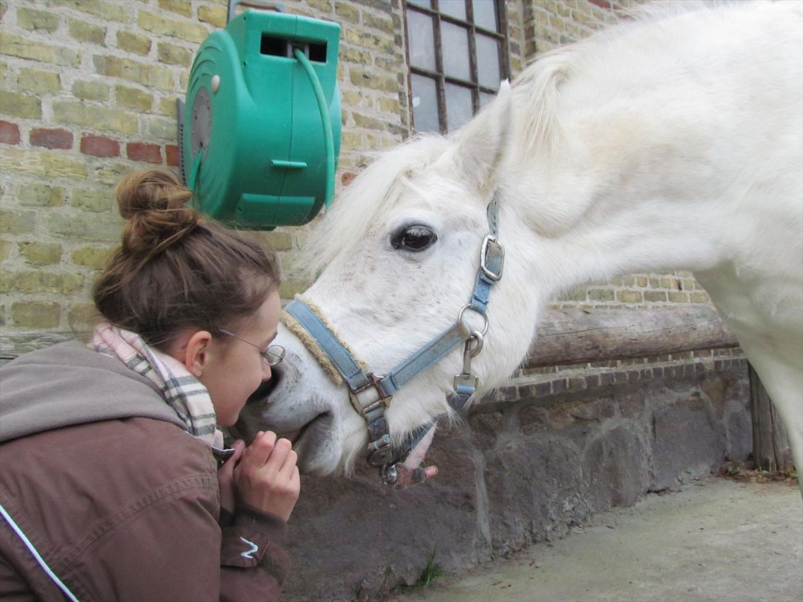 Anden særlig race Toffie - Min solstråle!  billede 15