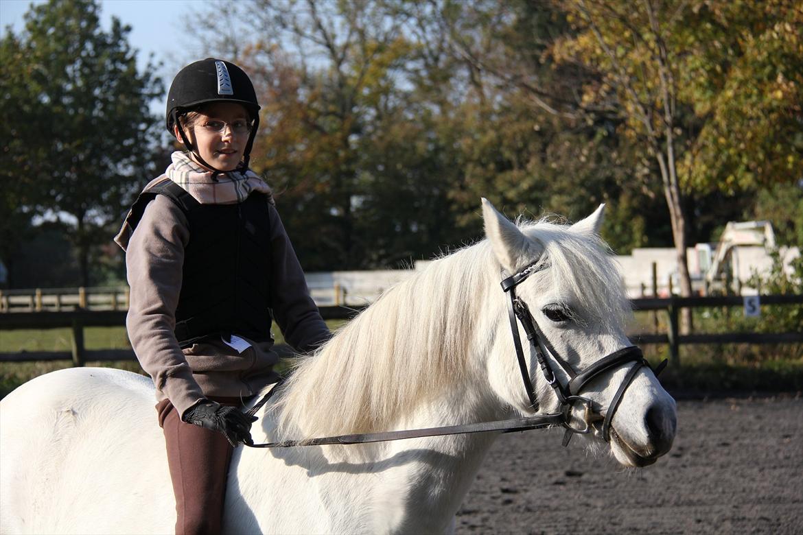 Anden særlig race Toffie - Jeg elsker dig! billede 16