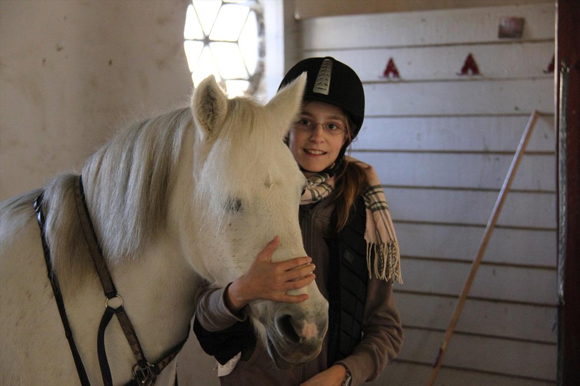 Anden særlig race Toffie - Love i a big word... But when i say it, i think of you! <3 billede 9