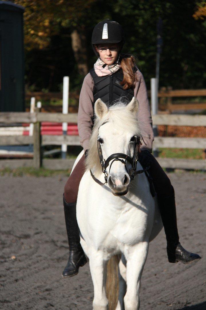 Anden særlig race Toffie - Så sød! <3 billede 17