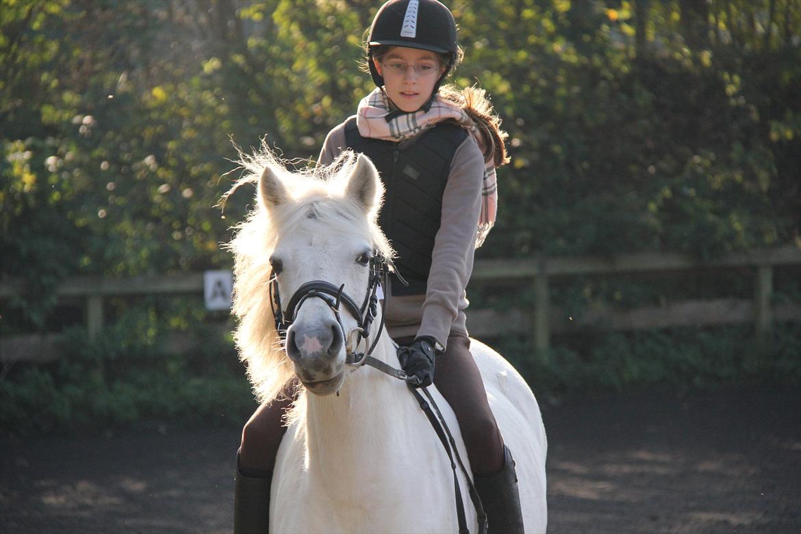 Anden særlig race Toffie - Nice man :P <3 billede 2