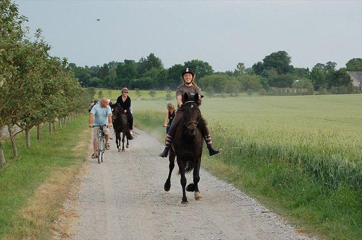 Traver Golden Flamingo - 4H Dyrlejr 2010 billede 14