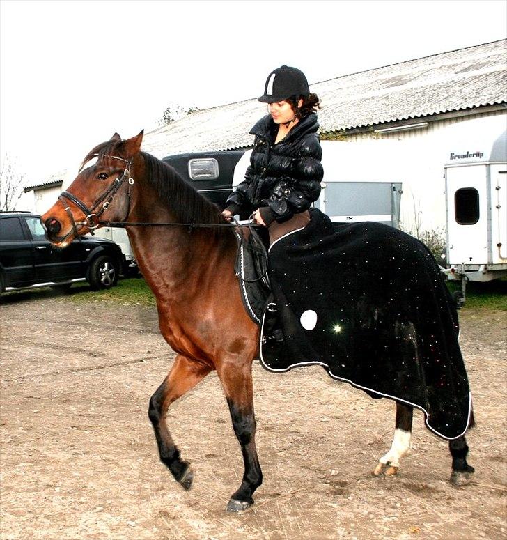 Anden særlig race Capper, danmarks bedste dreng billede 3