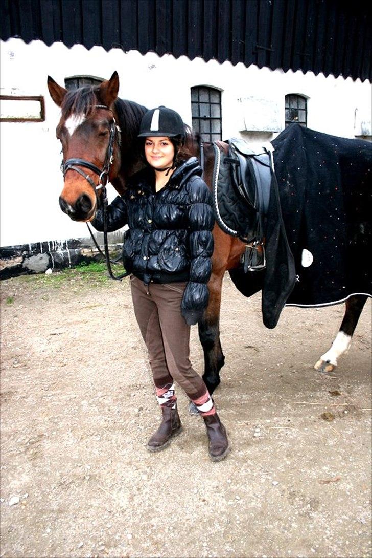 Anden særlig race Capper, danmarks bedste dreng billede 4