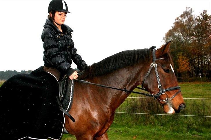 Anden særlig race Capper, danmarks bedste dreng billede 10