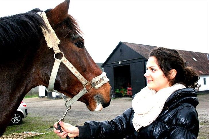 Anden særlig race Capper, danmarks bedste dreng billede 11