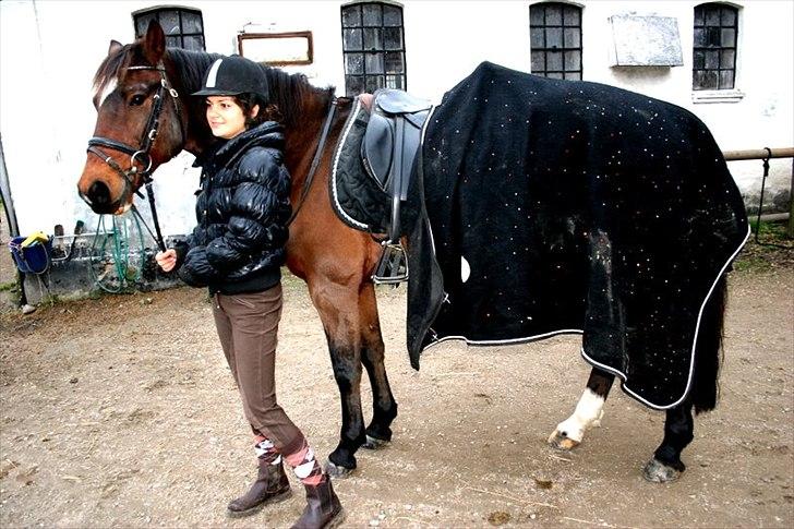 Anden særlig race Capper, danmarks bedste dreng billede 12