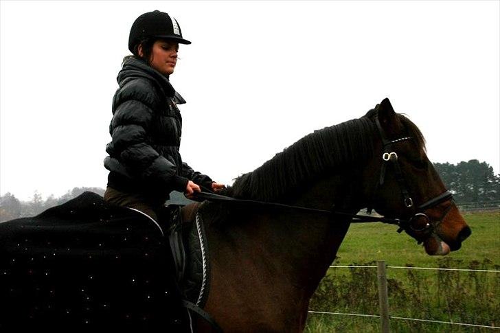 Anden særlig race Capper, danmarks bedste dreng billede 13