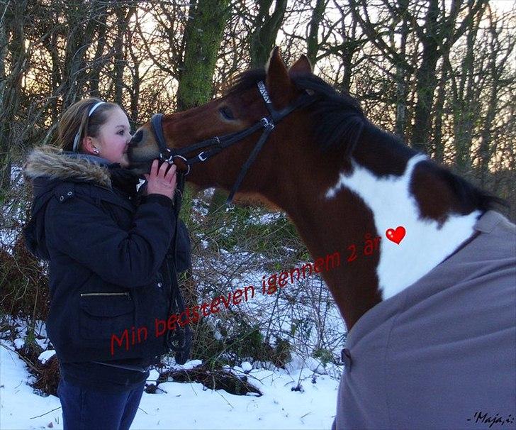 Anden særlig race Molly <3 *SAVN* - Jeg savner dig søøøøde pony! billede 20