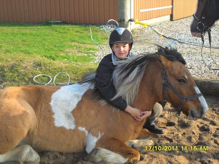 Anden særlig race Mulle - Dejlig slapper, med skønne Mai ved siden af :) billede 5